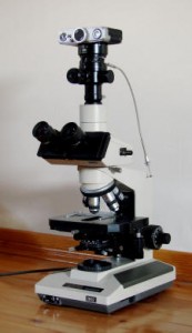 Prof Dr Yücel Tangün'ün mikroskobu